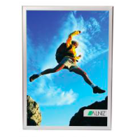 ILLUMINATED DISPLAYS